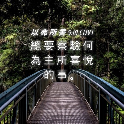 Picture 04 - 以 弗 所 書 5:10 CUVT - 總 要 察 驗 何 為 主 所 喜 悅 的 事 - Bible Verse Picture