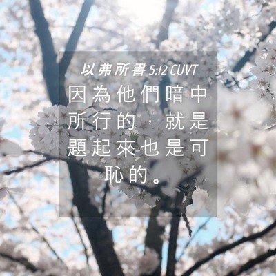 Picture 04 - 以 弗 所 書 5:12 CUVT - 因 為 他 們 暗 中 所 行 的 ， 就 是 - Bible Verse Picture