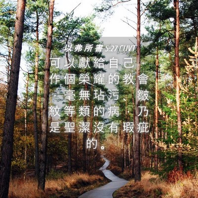 Picture 04 - 以 弗 所 書 5:27 CUVT - 可 以 獻 給 自 己 ， 作 個 榮 耀 的 - Bible Verse Picture