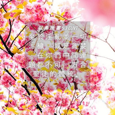 Picture 04 - 以 弗 所 書 5:3 CUVT - 至 於 淫 亂 並 一 切 污 穢 ， 或 是 - Bible Verse Picture