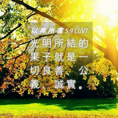 Picture 04 - 以 弗 所 書 5:9 CUVT - 光 明 所 結 的 果 子 就 是 一 切 良 - Bible Verse Picture