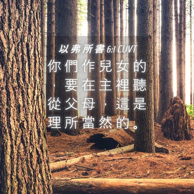 Picture 04 - 以 弗 所 書 6:1 CUVT - 你 們 作 兒 女 的 ， 要 在 主 裡 聽 - Bible Verse Picture