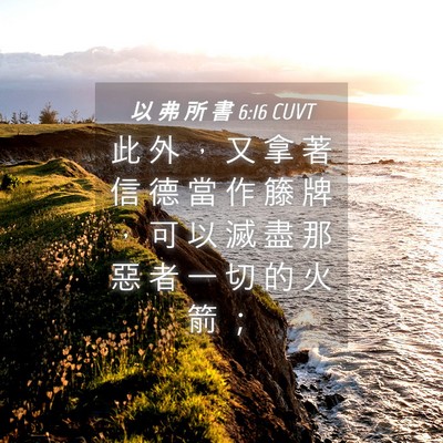 Picture 04 - 以 弗 所 書 6:16 CUVT - 此 外 ， 又 拿 著 信 德 當 作 籐 牌 - Bible Verse Picture
