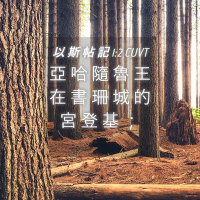 Picture 04 - 以 斯 帖 記 1:2 CUVT - 亞 哈 隨 魯 王 在 書 珊 城 的 宮 登 - Bible Verse Picture