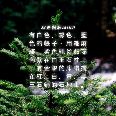 Picture 04 - 以 斯 帖 記 1:6 CUVT - 有 白 色 、 綠 色 、 藍 色 的 帳 子 - Bible Verse Picture