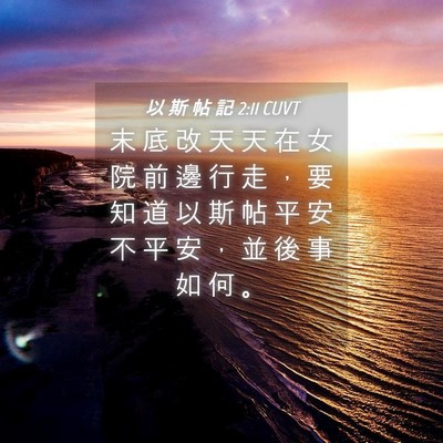 Picture 04 - 以 斯 帖 記 2:11 CUVT - 末 底 改 天 天 在 女 院 前 邊 行 走 - Bible Verse Picture
