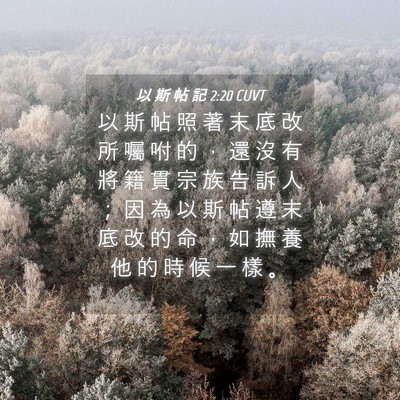 Picture 04 - 以 斯 帖 記 2:20 CUVT - 以 斯 帖 照 著 末 底 改 所 囑 咐 的 - Bible Verse Picture