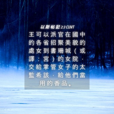 Picture 04 - 以 斯 帖 記 2:3 CUVT - 王 可 以 派 官 在 國 中 的 各 省 招 - Bible Verse Picture