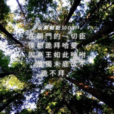 Picture 04 - 以 斯 帖 記 3:2 CUVT - 在 朝 門 的 一 切 臣 僕 都 跪 拜 哈 - Bible Verse Picture