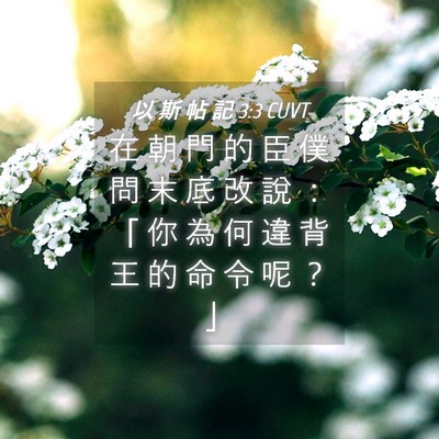 Picture 04 - 以 斯 帖 記 3:3 CUVT - 在 朝 門 的 臣 僕 問 末 底 改 說 ： - Bible Verse Picture