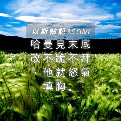 Picture 04 - 以 斯 帖 記 3:5 CUVT - 哈 曼 見 末 底 改 不 跪 不 拜 ， 他 - Bible Verse Picture