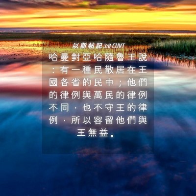 Picture 04 - 以 斯 帖 記 3:8 CUVT - 哈 曼 對 亞 哈 隨 魯 王 說 ： 有 一 - Bible Verse Picture