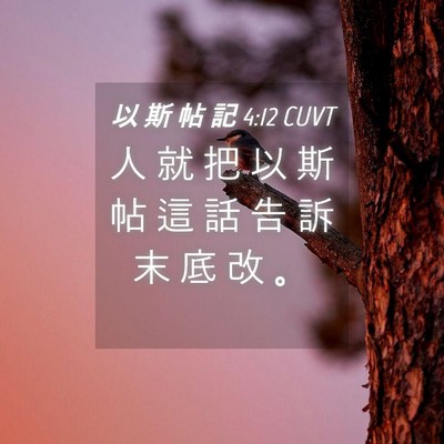 Picture 04 - 以 斯 帖 記 4:12 CUVT - 人 就 把 以 斯 帖 這 話 告 訴 末 底 - Bible Verse Picture