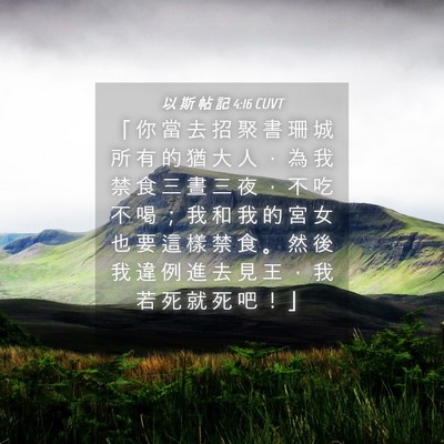 Picture 04 - 以 斯 帖 記 4:16 CUVT - 「 你 當 去 招 聚 書 珊 城 所 有 的 - Bible Verse Picture