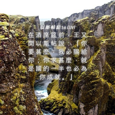 Picture 04 - 以 斯 帖 記 5:6 CUVT - 在 酒 席 筵 前 ， 王 又 問 以 斯 帖 - Bible Verse Picture