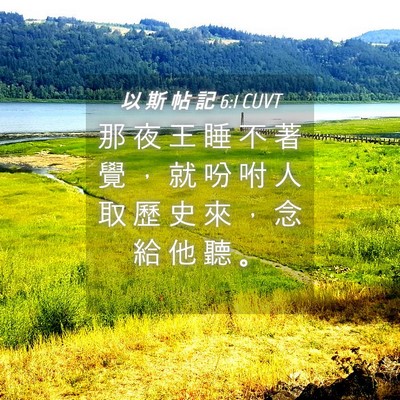 Picture 04 - 以 斯 帖 記 6:1 CUVT - 那 夜 王 睡 不 著 覺 ， 就 吩 咐 人 - Bible Verse Picture