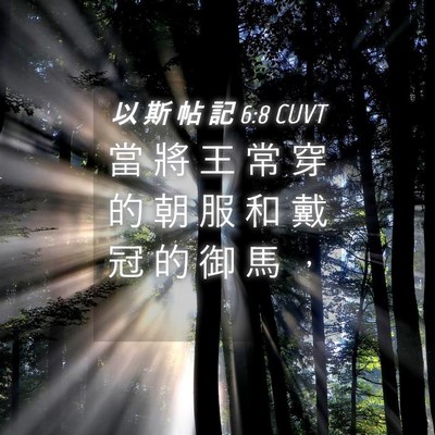 Picture 04 - 以 斯 帖 記 6:8 CUVT - 當 將 王 常 穿 的 朝 服 和 戴 冠 的 - Bible Verse Picture