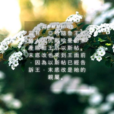 Picture 04 - 以 斯 帖 記 8:1 CUVT - 當 日 ， 亞 哈 隨 魯 王 把 猶 大 人 - Bible Verse Picture