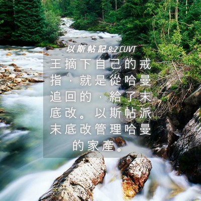 Picture 04 - 以 斯 帖 記 8:2 CUVT - 王 摘 下 自 己 的 戒 指 ， 就 是 從 - Bible Verse Picture