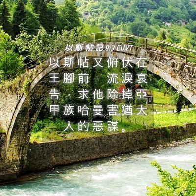 Picture 04 - 以 斯 帖 記 8:3 CUVT - 以 斯 帖 又 俯 伏 在 王 腳 前 ， 流 - Bible Verse Picture