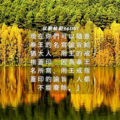 Picture 04 - 以 斯 帖 記 8:8 CUVT - 現 在 你 們 可 以 隨 意 奉 王 的 名 - Bible Verse Picture