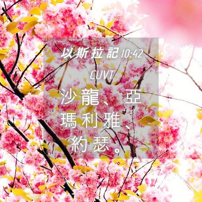 Picture 04 - 以 斯 拉 記 10:42 CUVT - 沙 龍 、 亞 瑪 利 雅 、 約 瑟 - Bible Verse Picture