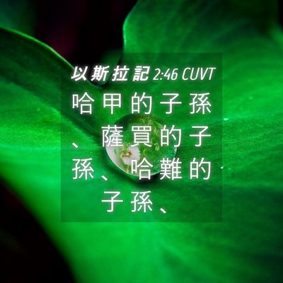Picture 04 - 以 斯 拉 記 2:46 CUVT - 哈 甲 的 子 孫 、 薩 買 的 子 孫 、 - Bible Verse Picture