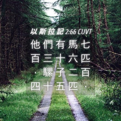 Picture 04 - 以 斯 拉 記 2:66 CUVT - 他 們 有 馬 七 百 三 十 六 匹 ， 騾 - Bible Verse Picture