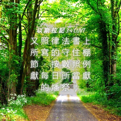 Picture 04 - 以 斯 拉 記 3:4 CUVT - 又 照 律 法 書 上 所 寫 的 守 住 棚 - Bible Verse Picture