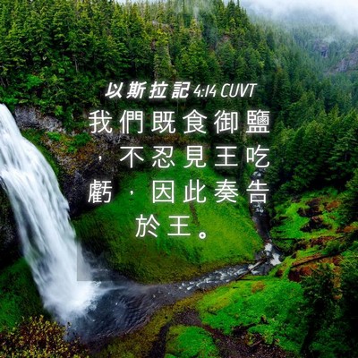 Picture 04 - 以 斯 拉 記 4:14 CUVT - 我 們 既 食 御 鹽 ， 不 忍 見 王 吃 - Bible Verse Picture