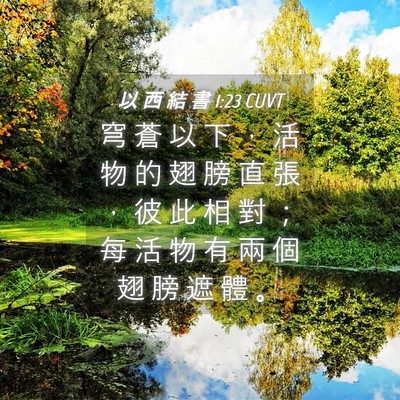 Picture 04 - 以 西 結 書 1:23 CUVT - 穹 蒼 以 下 ， 活 物 的 翅 膀 直 張 - Bible Verse Picture