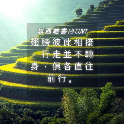 Picture 04 - 以 西 結 書 1:9 CUVT - 翅 膀 彼 此 相 接 ， 行 走 並 不 轉 - Bible Verse Picture
