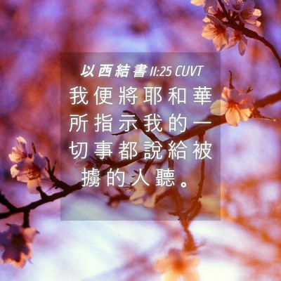 Picture 04 - 以 西 結 書 11:25 CUVT - 我 便 將 耶 和 華 所 指 示 我 的 一 - Bible Verse Picture