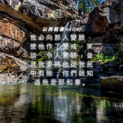 Picture 04 - 以 西 結 書 14:8 CUVT - 我 必 向 那 人 變 臉 ， 使 他 作 了 - Bible Verse Picture