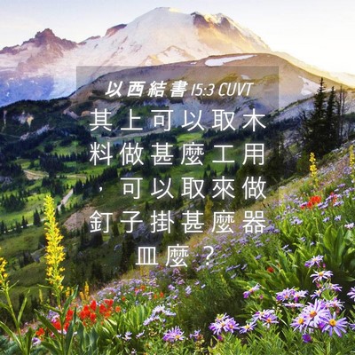 Picture 04 - 以 西 結 書 15:3 CUVT - 其 上 可 以 取 木 料 做 甚 麼 工 用 - Bible Verse Picture