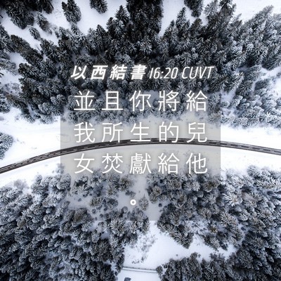 Picture 04 - 以 西 結 書 16:20 CUVT - 並 且 你 將 給 我 所 生 的 兒 女 焚 - Bible Verse Picture