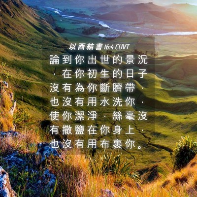 Picture 04 - 以 西 結 書 16:4 CUVT - 論 到 你 出 世 的 景 況 ， 在 你 初 - Bible Verse Picture