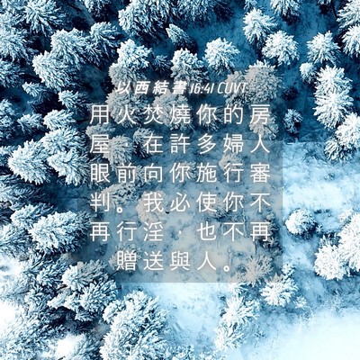 Picture 04 - 以 西 結 書 16:41 CUVT - 用 火 焚 燒 你 的 房 屋 ， 在 許 多 - Bible Verse Picture