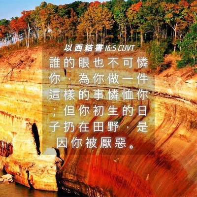 Picture 04 - 以 西 結 書 16:5 CUVT - 誰 的 眼 也 不 可 憐 你 ， 為 你 做 - Bible Verse Picture
