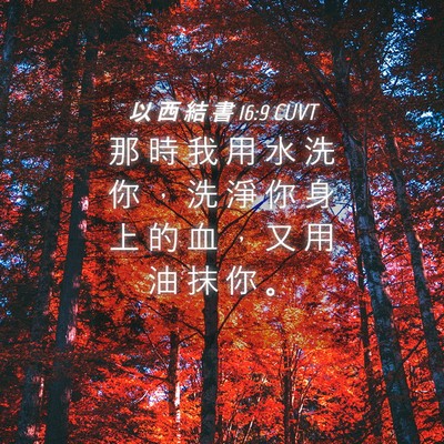 Picture 04 - 以 西 結 書 16:9 CUVT - 那 時 我 用 水 洗 你 ， 洗 淨 你 身 - Bible Verse Picture