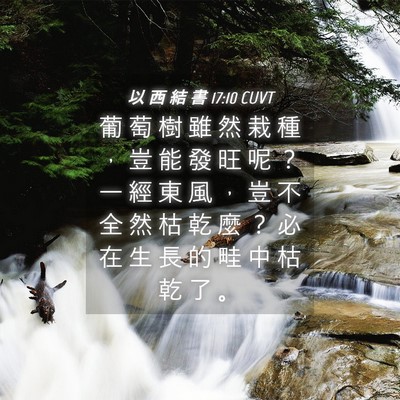 Picture 04 - 以 西 結 書 17:10 CUVT - 葡 萄 樹 雖 然 栽 種 ， 豈 能 發 旺 - Bible Verse Picture