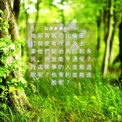 Picture 04 - 以 西 結 書 17:15 CUVT - 他 卻 背 叛 巴 比 倫 王 ， 打 發 使 - Bible Verse Picture