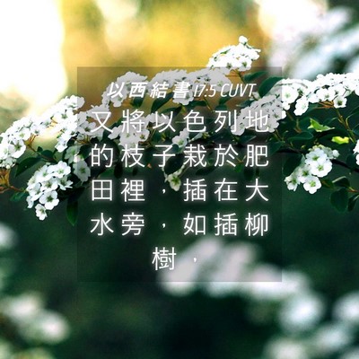 Picture 04 - 以 西 結 書 17:5 CUVT - 又 將 以 色 列 地 的 枝 子 栽 於 肥 - Bible Verse Picture