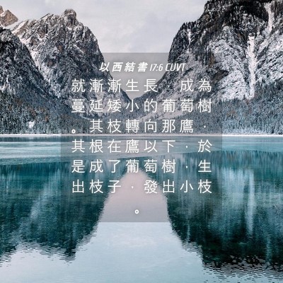 Picture 04 - 以 西 結 書 17:6 CUVT - 就 漸 漸 生 長 ， 成 為 蔓 延 矮 小 - Bible Verse Picture