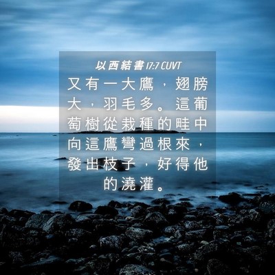 Picture 04 - 以 西 結 書 17:7 CUVT - 又 有 一 大 鷹 ， 翅 膀 大 ， 羽 毛 - Bible Verse Picture