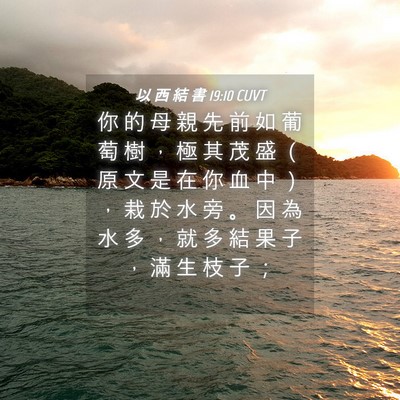 Picture 04 - 以 西 結 書 19:10 CUVT - 你 的 母 親 先 前 如 葡 萄 樹 ， 極 - Bible Verse Picture