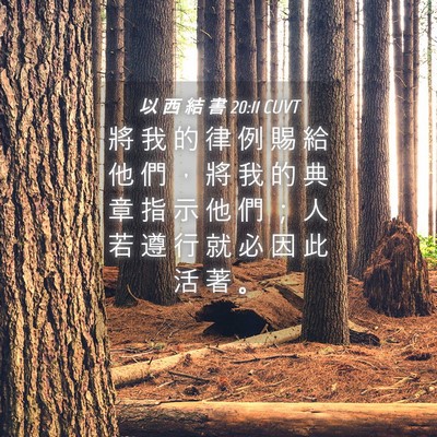 Picture 04 - 以 西 結 書 20:11 CUVT - 將 我 的 律 例 賜 給 他 們 ， 將 我 - Bible Verse Picture