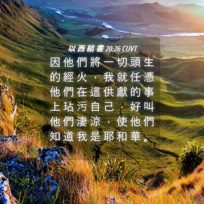 Picture 04 - 以 西 結 書 20:26 CUVT - 因 他 們 將 一 切 頭 生 的 經 火 ， - Bible Verse Picture