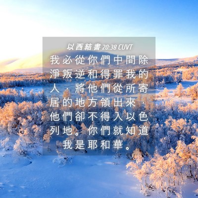 Picture 04 - 以 西 結 書 20:38 CUVT - 我 必 從 你 們 中 間 除 淨 叛 逆 和 - Bible Verse Picture