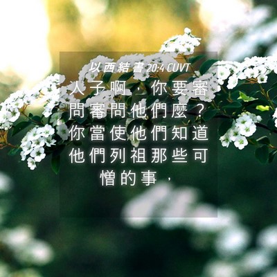 Picture 04 - 以 西 結 書 20:4 CUVT - 人 子 啊 ， 你 要 審 問 審 問 他 們 - Bible Verse Picture